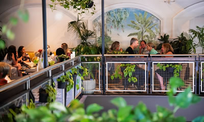 Labour Day at Pumphouse Sydney