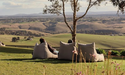 Labour Day Weekend at Marnong Estate